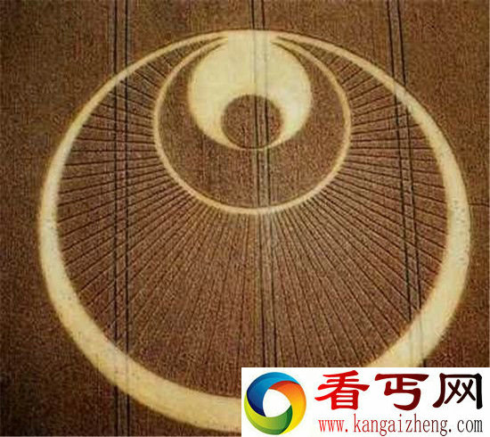 麦田怪圈被破译 外星人已成功融入地球