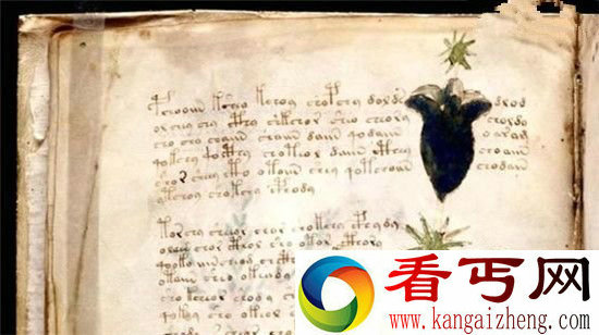 古文明十大未解之迷,神秘手稿现外星文字