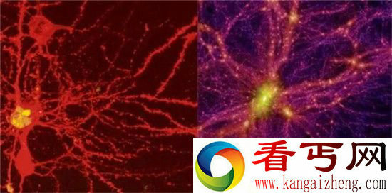 宇宙是个巨大生物体 不同尺度宇宙共享资源