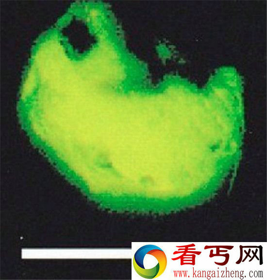 惊爆外星人存在证据外星人在地球上播种外星生命种子!