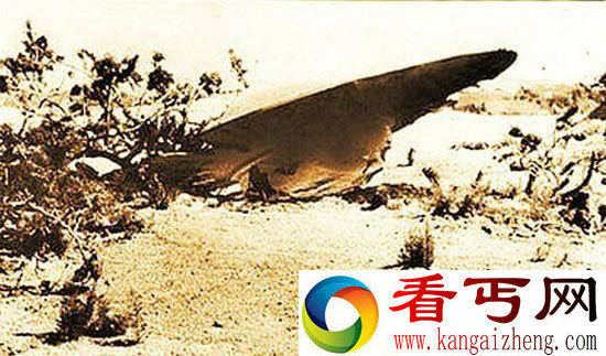 美国 UFO 外星人