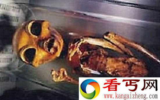 外星人免疫系统不适应地球 感冒病毒即可致命