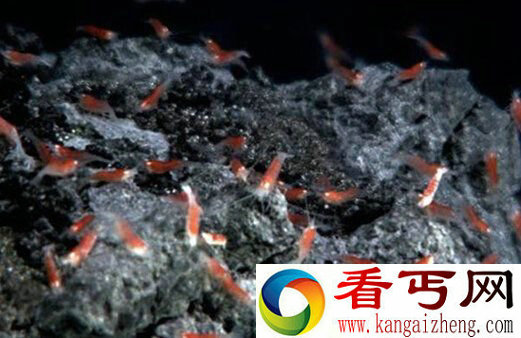 外星人生活环境极端 需要湿润的世界