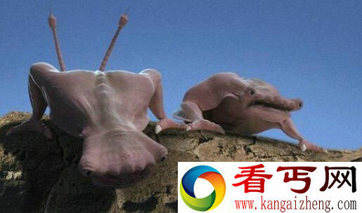 外星人生活环境极端 需要湿润的世界