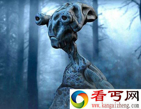 神话中的龙或来自宇宙?外星人派到地球的信使