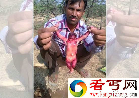 人形不明生物现身地球 是外星人还是畸胎
