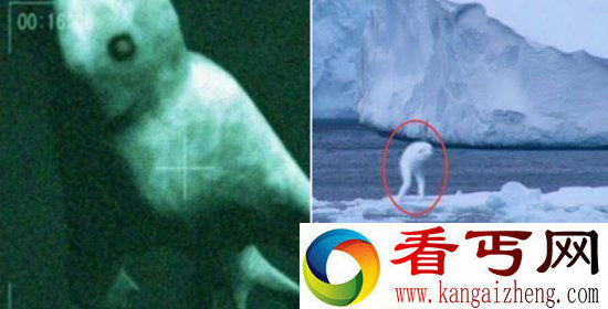 南极冰封中十二大机密 外星人隐藏的UFO基地