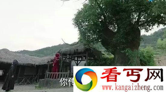 择天记电视剧结局曝光 黑袍人真正身份是?陈长生身世曝光