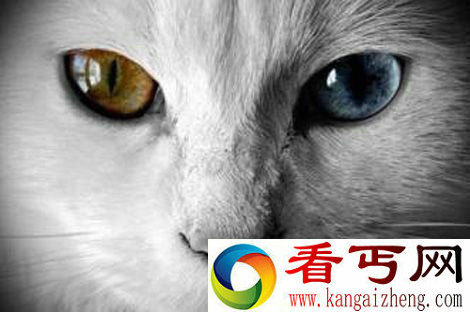 阴阳眼是什么?世界上真有阴阳眼吗?