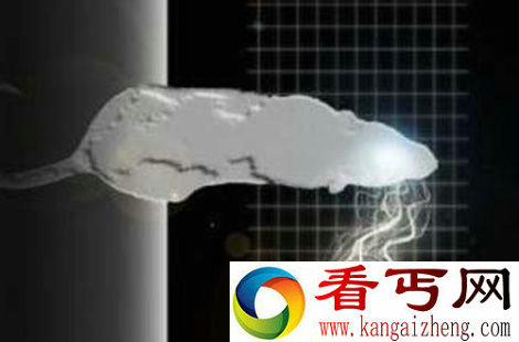 死亡回魂体验死亡时刻经历了什么?