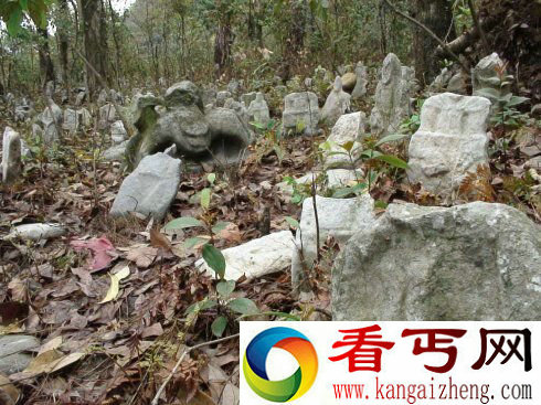 七个你不知道的未解之谜！再不看就晚了！