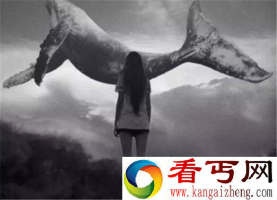 蓝鲸游戏的50个任务是什么？蓝鲸游戏内容曝光