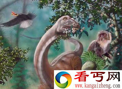 刚果恐龙