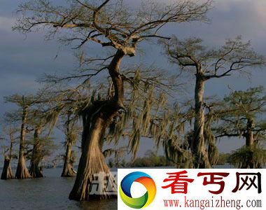 路易斯安那州
