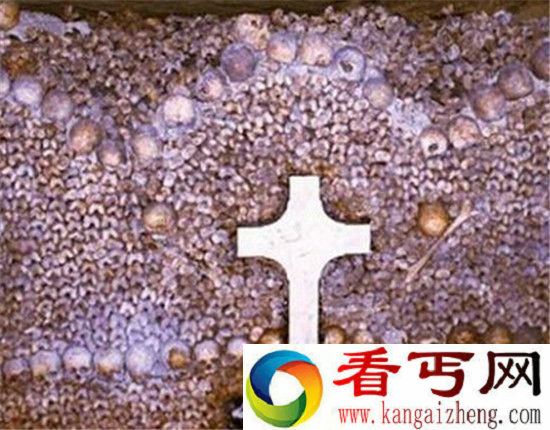 地球十大最恐怖之地 日本自杀森林上榜