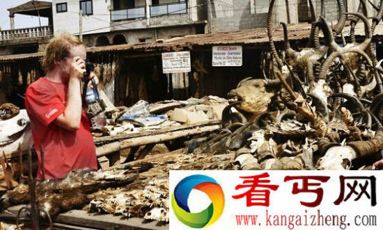 地球十大最恐怖之地 日本自杀森林上榜