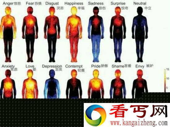 人死亡全过程 你知道吗