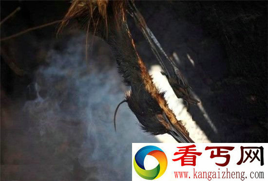 乌干达残忍祭拜神灵 儿童竟被割走器官作为祭品
