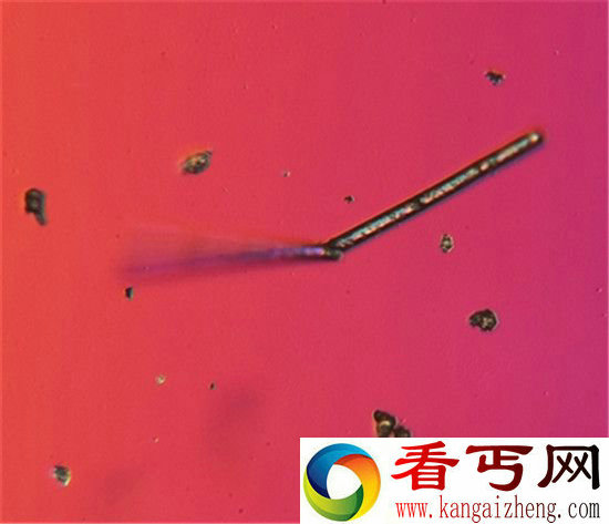 北京雾霾在显微镜下的样子 看完你还敢呼吸?