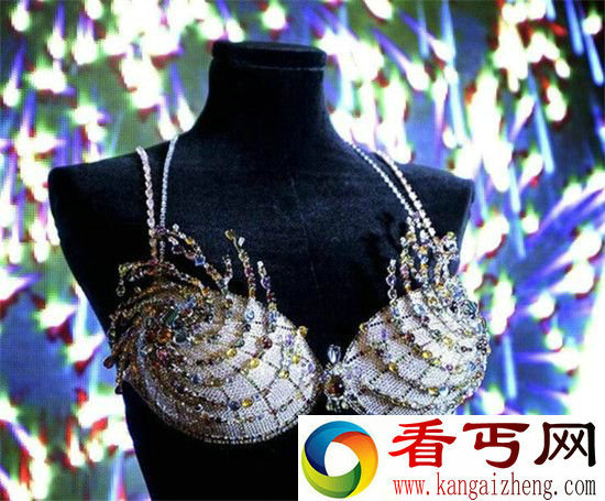 一件胸衣价值200万美元 却被当垃圾扔掉