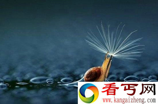 蠢萌!可爱小动物最雷人避雨方式 (组图)