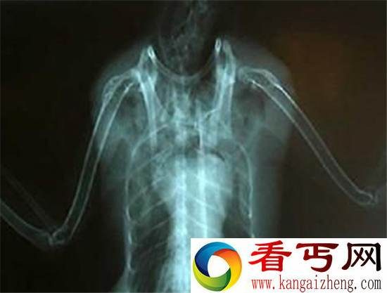 美国女子被外星人强奸 竟然生出恐怖蓝婴