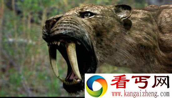 机甲时代机甲战士战剑齿虎 远古巨兽不堪一击