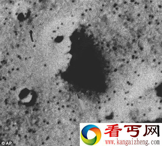 火星人为什么不来?地球虫子可轻易消灭它们