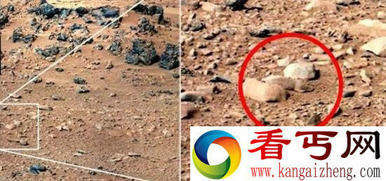 天文爱好者发现火星“原著民” 竟然不像外星生物