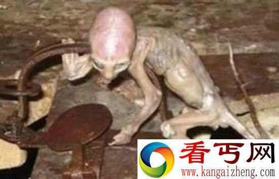 宇宙六大超乎想象离奇事件女宇航员意外怀孕