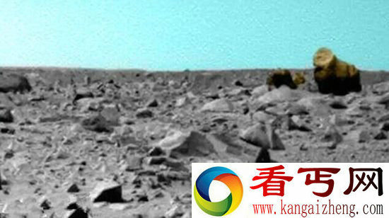 火星上发现大猩猩?盘点火星上疑似存在的地球生物