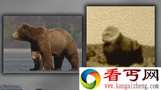 火星上发现大猩猩?盘点火星上疑似存在的地球生物