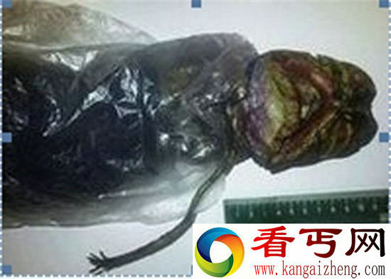 人类不再唯一!银河系就存在大量外星生命