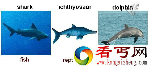 外星生物竟然长这样 趋同净化现象解读