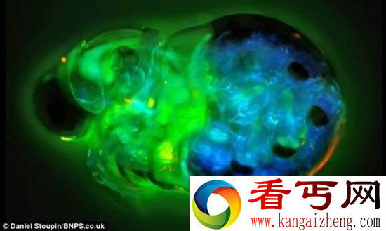 霍金告诫千万不要寻找外星人 切勿与第三类接触
