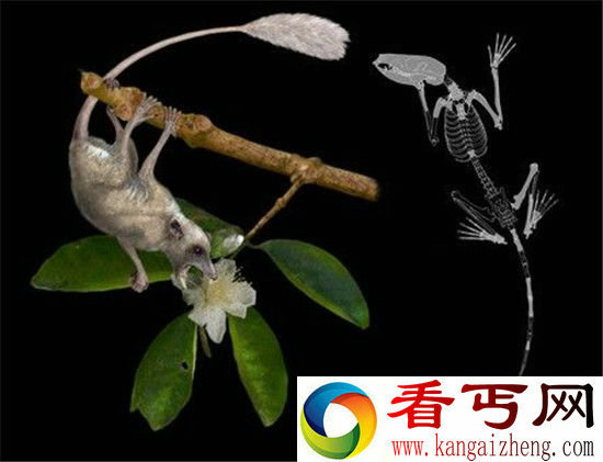 盘点六大原因为何不可能是外星人造人