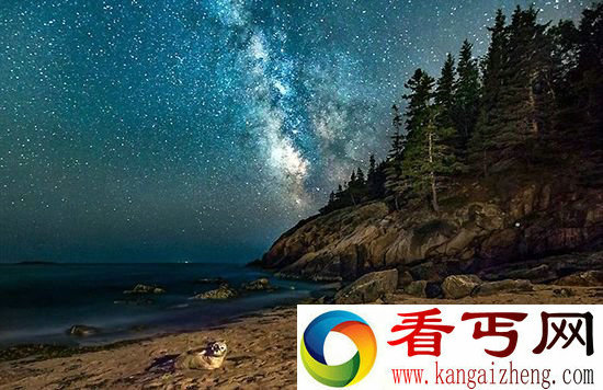 璀璨绚烂银河系 被可爱海豹抢镜