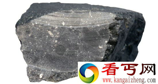 最古老的火星陨石或火星是否有生命