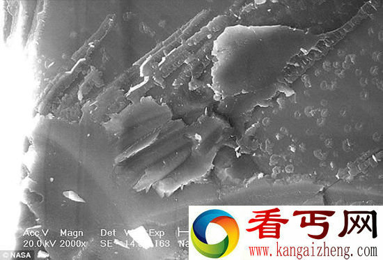 火星陨石中发现欧泊 或含有火星古代生命遗迹