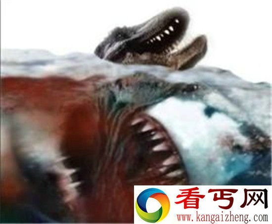 世界上最恐怖的动物 巨齿鲨撕咬霸王龙震撼!