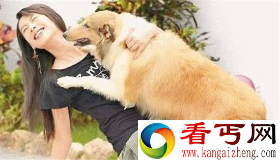 全球最奇特动物交配性行为人与动物杂交