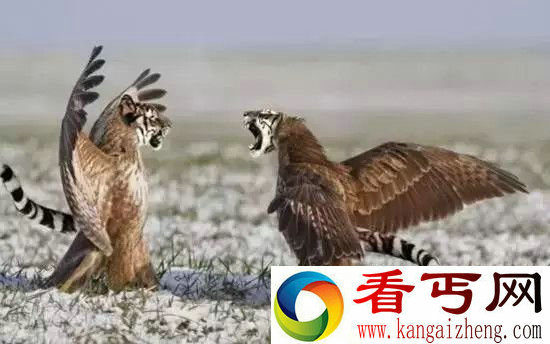 世界十大杂交动物 恐怖到令人发指!