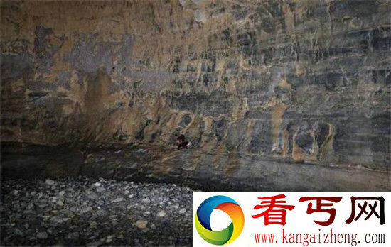 贵州溶洞惊现神秘飞猫 飞猫究竟是什么猫?