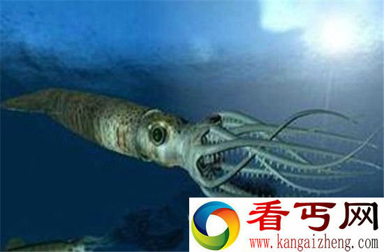 动物界中十大超能力动物 鲶鱼约有10万个味蕾