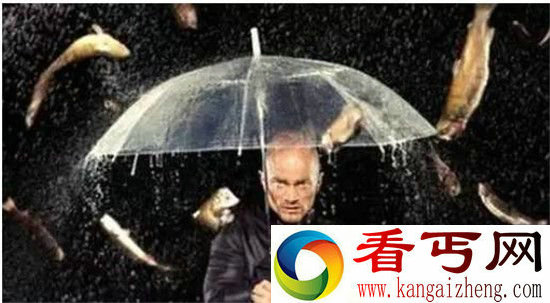 动物界八大奇特神秘现象盘点海豹居然性侵帝企鹅!