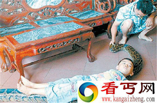 蟒蛇报恩看家护院抓小偷 还做保姆救人命