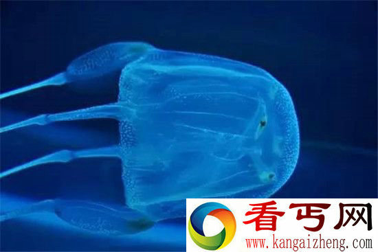 世界最恐怖十大毒物排行一个比一个毒!