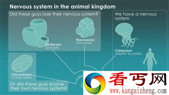 动物出门不带脑子?没脑子已成为一种进化方向!