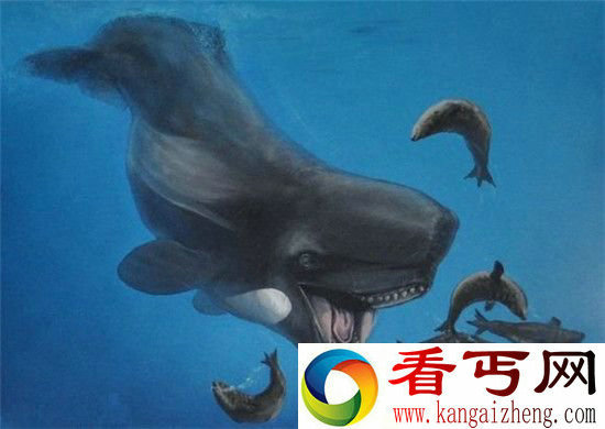 梅尔维尔鲸巨兽大复活鲨鱼也只是开胃小菜!