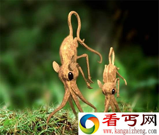 鼻行动物? 20世纪消失的奇兽